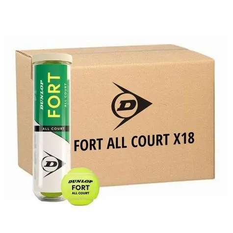Balle de Tennis Dunlop Fort All Court x18